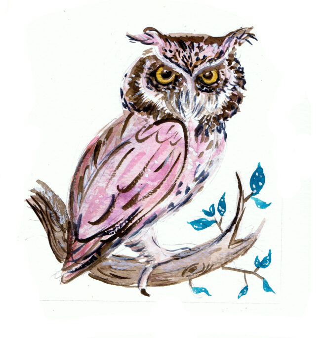 Pink Owl, watercolour 2020
