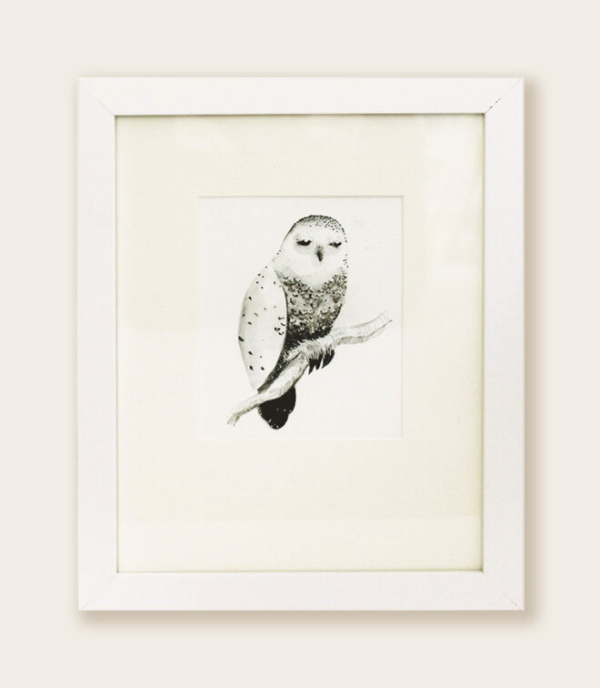 White Owl | 2020