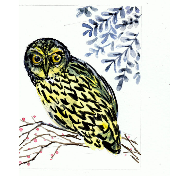 Yellow Owl, watercolour 2020