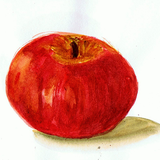 Watercolour apple