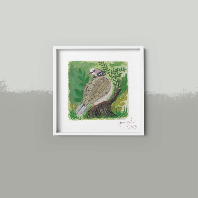 Spotted Dove 2023 - Image 5