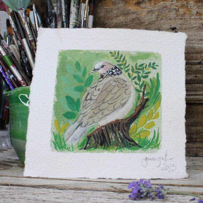 small watercolour of a ring necked dove