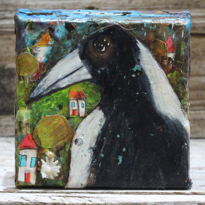 Magpie In The Suburbs, 2024