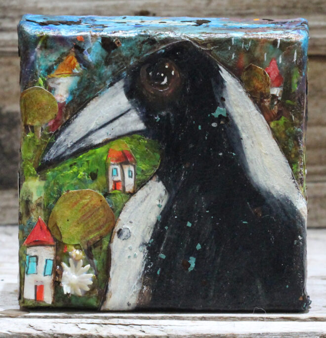 Magpie In The Suburbs, 2024