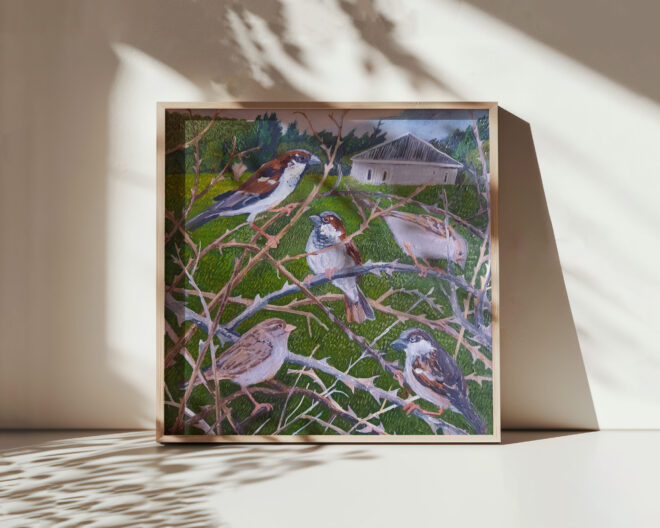 House Sparrows - Image 2