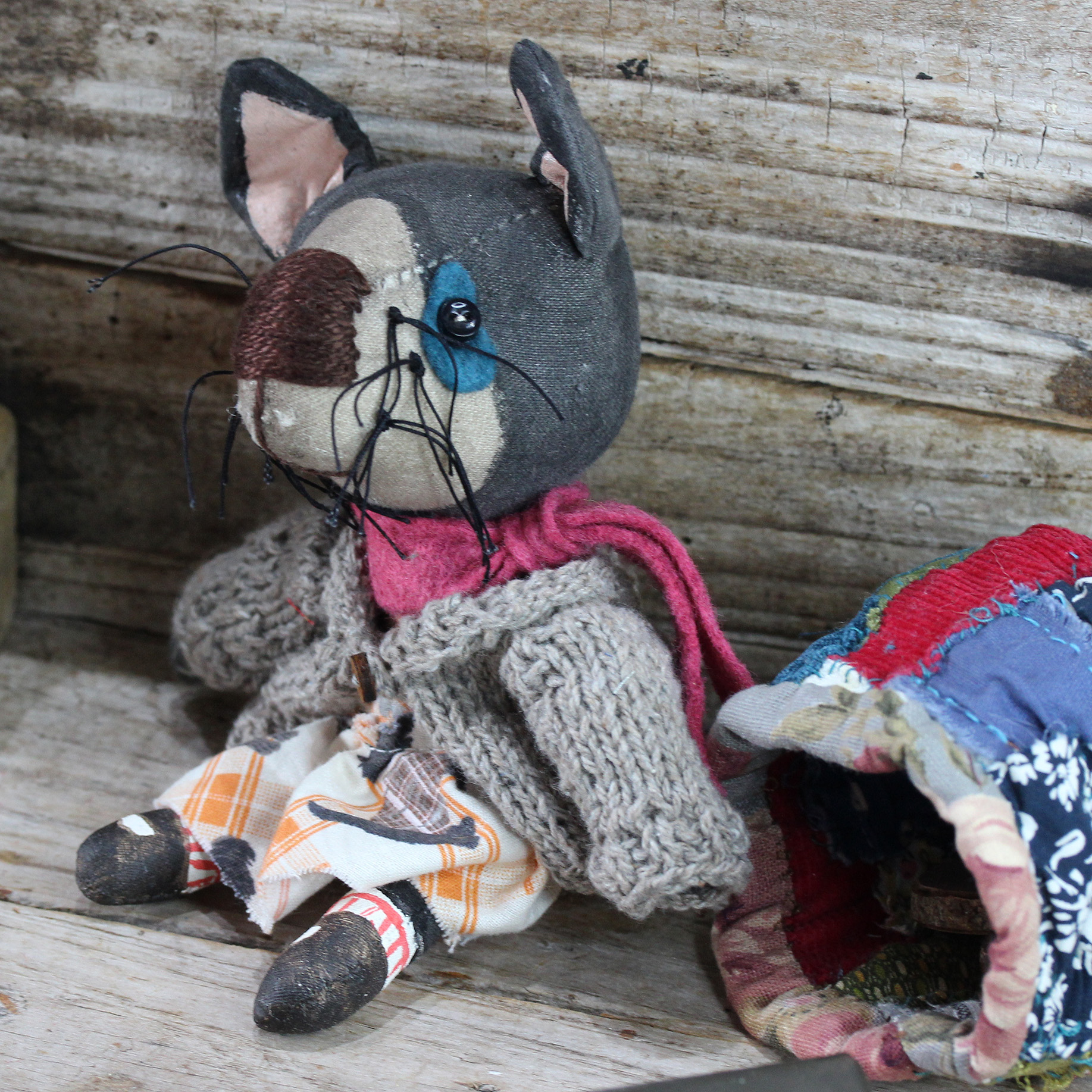 Tasmanian Devil | Jane