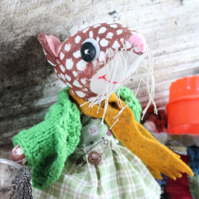 Juniper  Quoll - Image 5