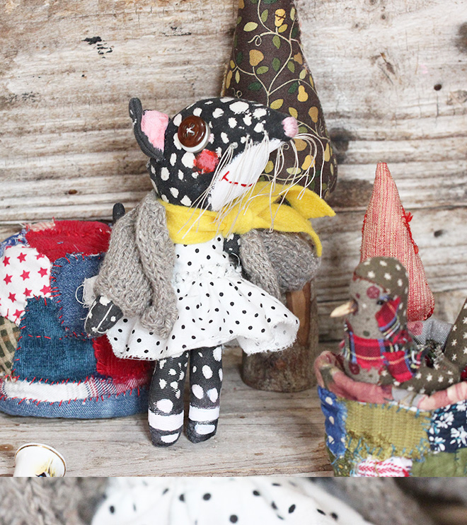 Tasmanian Calico Quoll | Tipssi